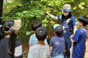 ﻿‘전문 숲해설가와 함께 숲속 탐험’강동구 숲해설 프로그램 인기3.jpg