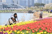 ‘꽃향기 가득’ 하남시, 공원과 길가에 계절꽃 9만7,000본 식재.jpg