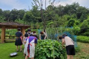친환경 로컬푸드로 면역력 높여주는 강동구 채마밭 요리교실